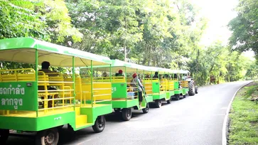 ชวนชิวนั่งรถไฟรอบอุทยานหินเขางู ชมวิวให้อาหารลิงกลางคืนชมหิ่งห้อย