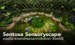 Sentosa Sensoryscape ที่เที่ยวใหม่บนเกาะเซ็นโตซา พาคุณเข้าไปในโลก AR เร้าทุกประสาทสัมผัส