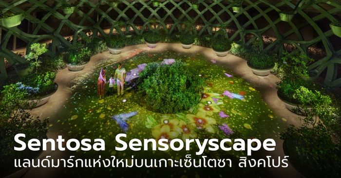 Sentosa Sensoryscape ที่เที่ยวใหม่บนเกาะเซ็นโตซา พาคุณเข้าไปในโลก AR เร้าทุกประสาทสัมผัส