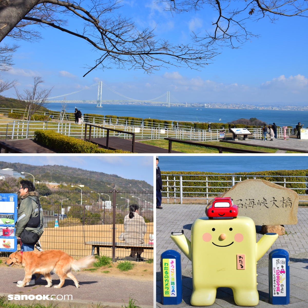 จุดพักรถอาวะจิ (Awaji Service Area Big Ferris Wheel)