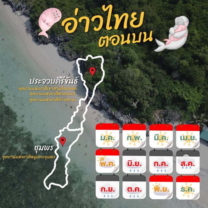  ปฏิทินท่องเที่ยวอุทยานแห่งชาติทางทะเล ฝั่งอ่าวไทยตอนบน