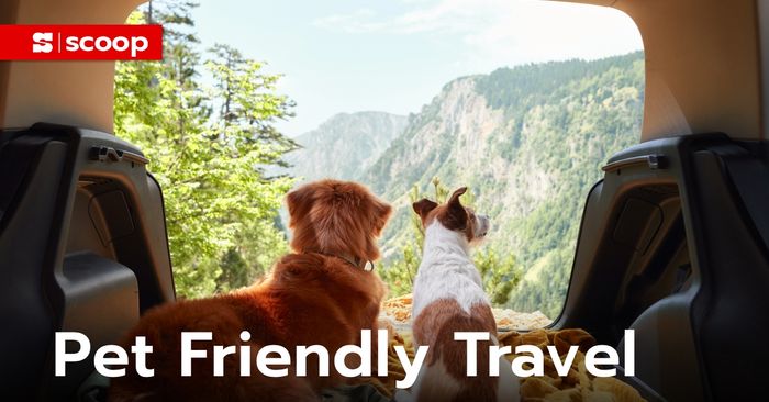 ททท. เปิดผลวิจัยเจาะลึก Pet Friendly Travel เทรนด์ตลาดศักยภาพสูง