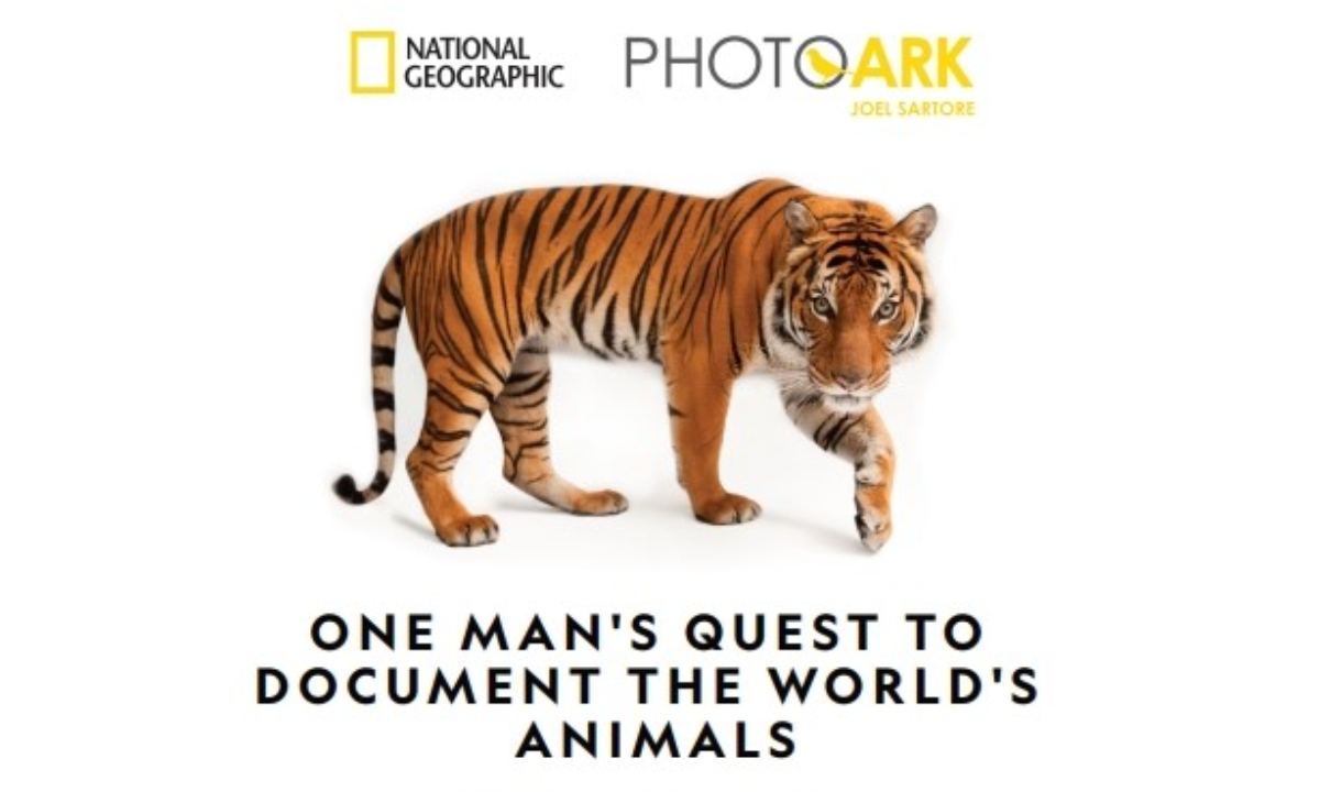 สถานทูตอเมริกา จัดนิทรรศการ National Geographic Photo Ark พร้อมเปิดแคมเปญ “Virtual Jungle Thail