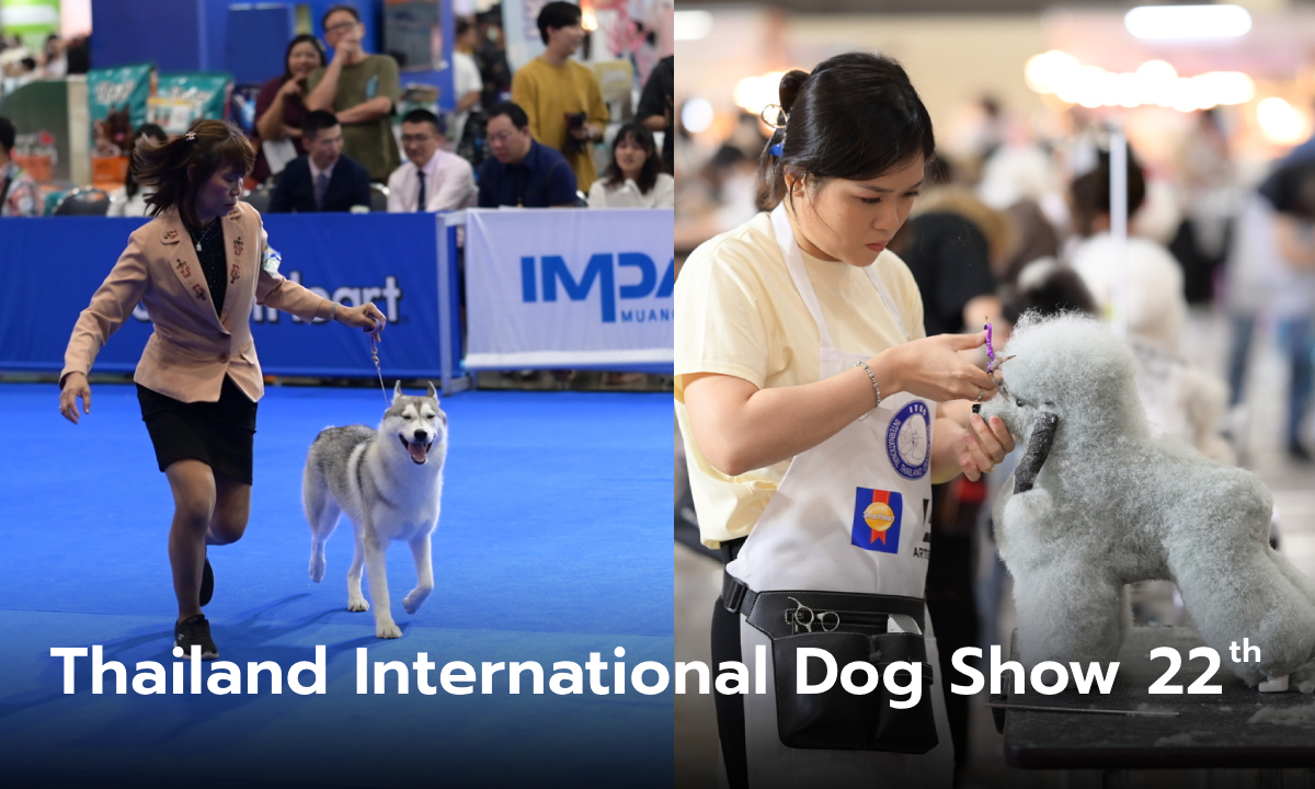เริ่มแล้ว! Thailand International Dog Show ครั้งที่ 22 งานมหกรรมคนรักสุนัขอันดับ 1 ของประเทศ