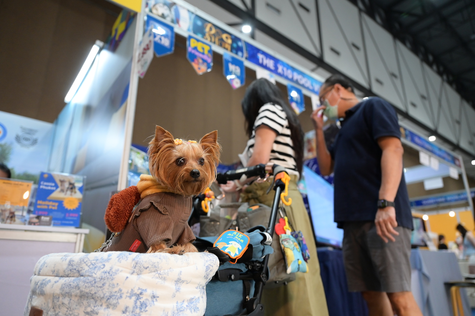 SmartHeart presents Thailand International Dog Show ครั้งที่ 22     
