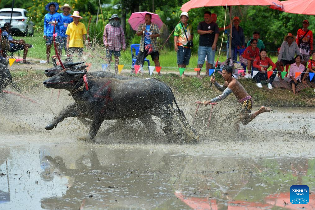 Thailand, Aug. 4, 2024. Photo by Rachen Sageamsak/Xinhua