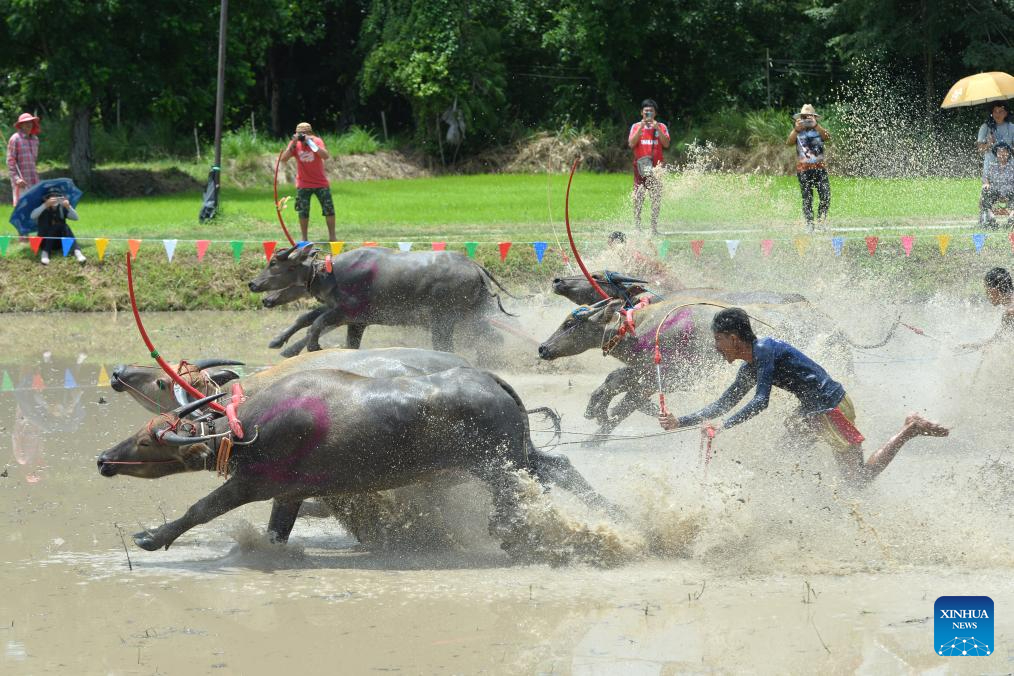 Thailand, Aug. 4, 2024. (Photo by Rachen Sageamsak/Xinhua