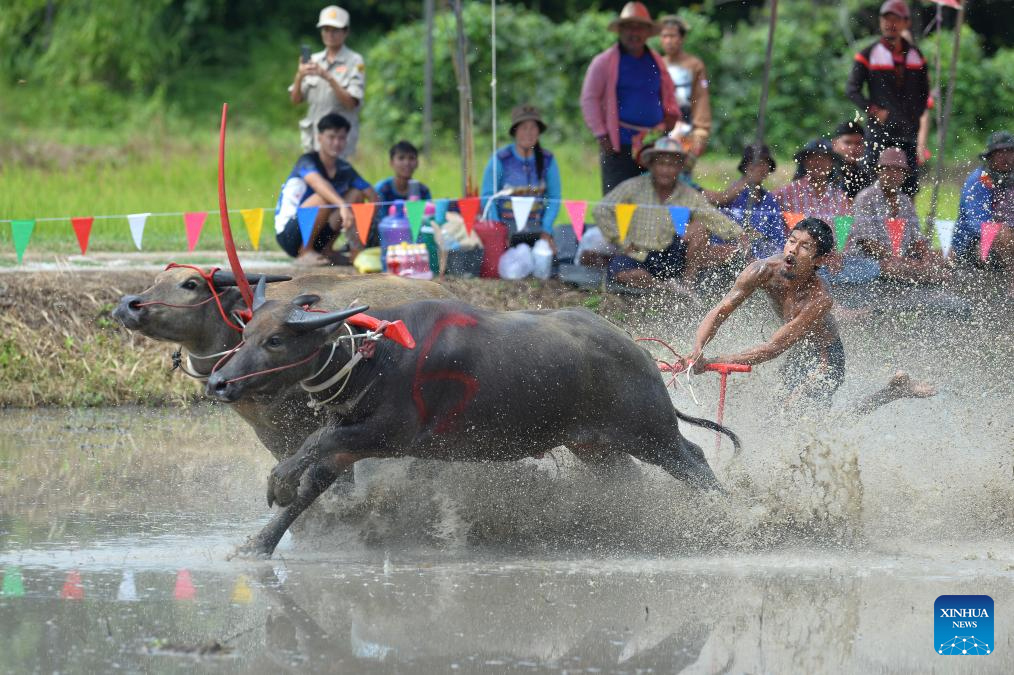 Thailand, Aug. 4, 2024. (Photo by Rachen Sageamsak/Xinhua