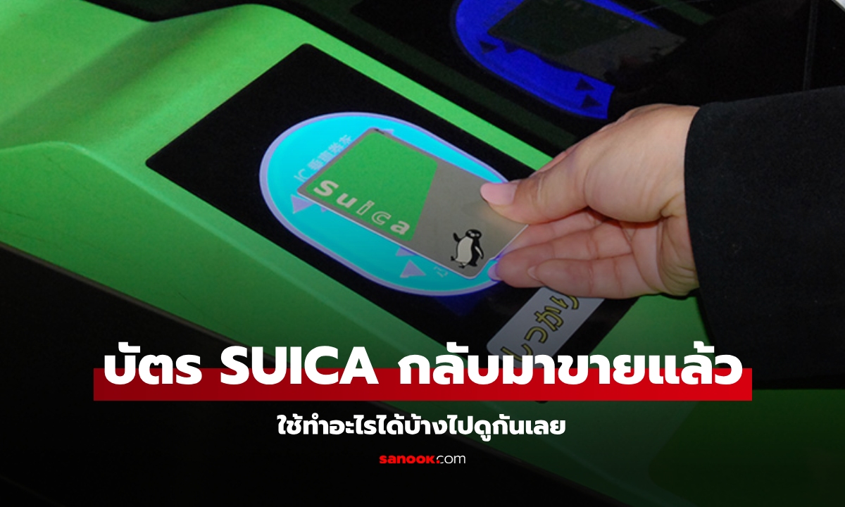 บัตร Suica (IC Card) กลับมาขายแล้ว เที่ยวญี่ปุ่นใช้ที่ไหนได้บ้างไปดูกัน