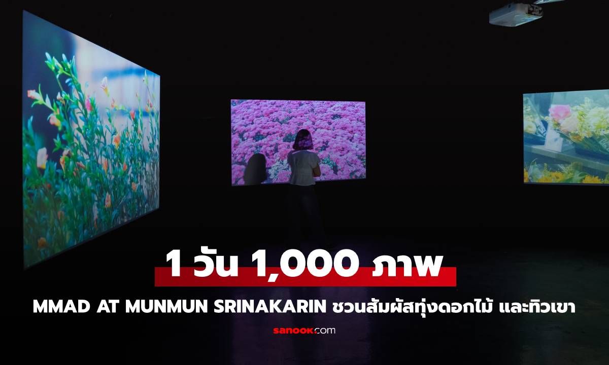 MMAD at MunMun Srinakarin ชวนสัมผัสทุ่งดอกไม้ และทิวเขา “1 วัน 1,000 ภาพ ครั้งที่ 2: On the Ground”