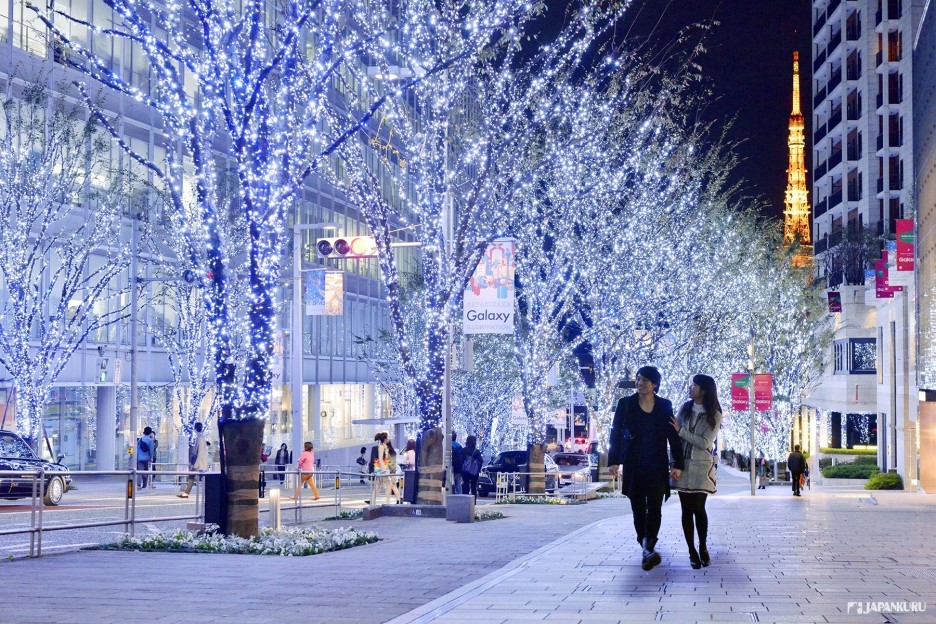 งานไฟประดับ โตเกียว tokyo ญี่ปุ่น เที่ยวต่างประเทศ