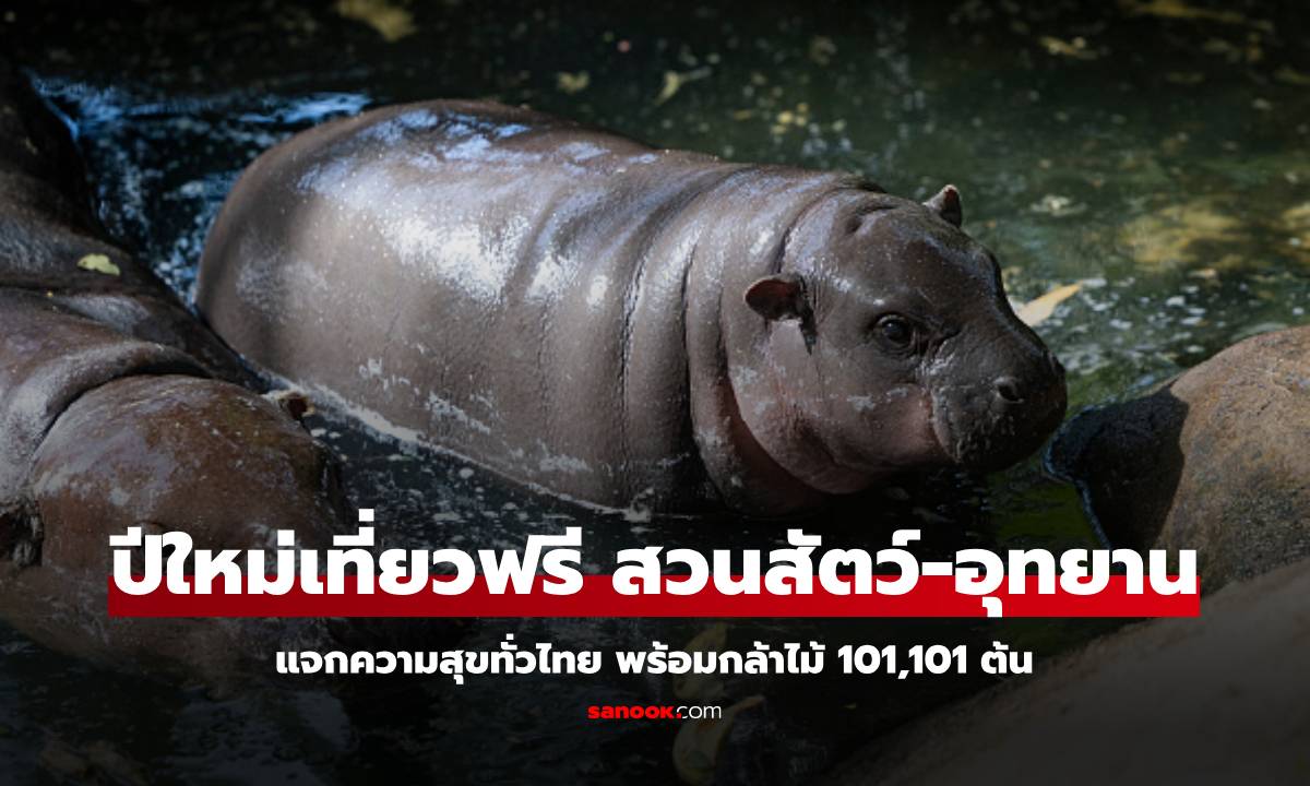 ของขวัญปีใหม่ 2568 เที่ยวฟรีสวนสัตว์ อุทยานทุกแห่ง ทส.แจกความสุขทั่วไทย และกล้าไม้ 101,101 ต้น