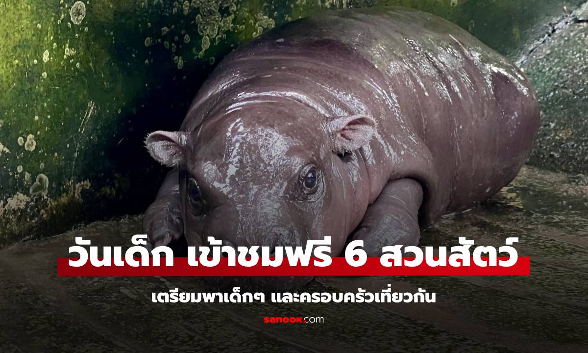 สวนสัตว์เข้าฟรี วันเด็ก 2568 เข้าฟรี 6 แห่งทั่วประเทศ ชมความน่ารัก หมูเด้ง