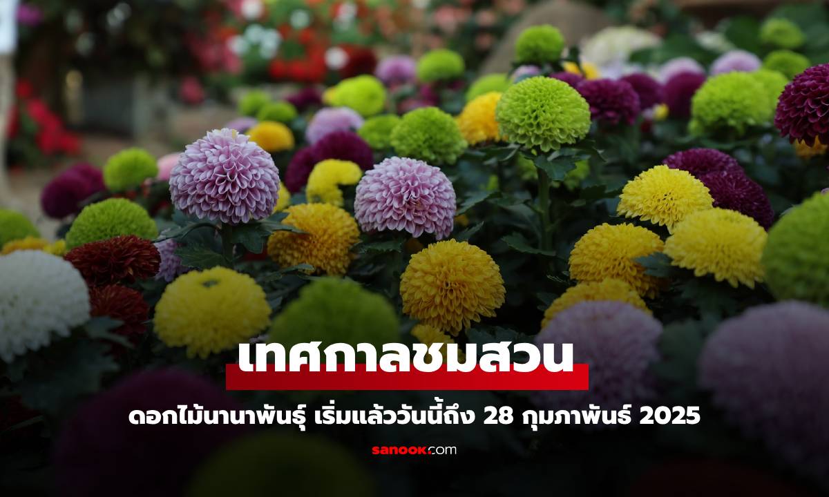 เริ่มแล้ว! เทศกาลชมสวน 2567 อุทยานหลวงราชพฤกษ์ เริ่มวันนี้ ถึง 28 ก.พ. 68