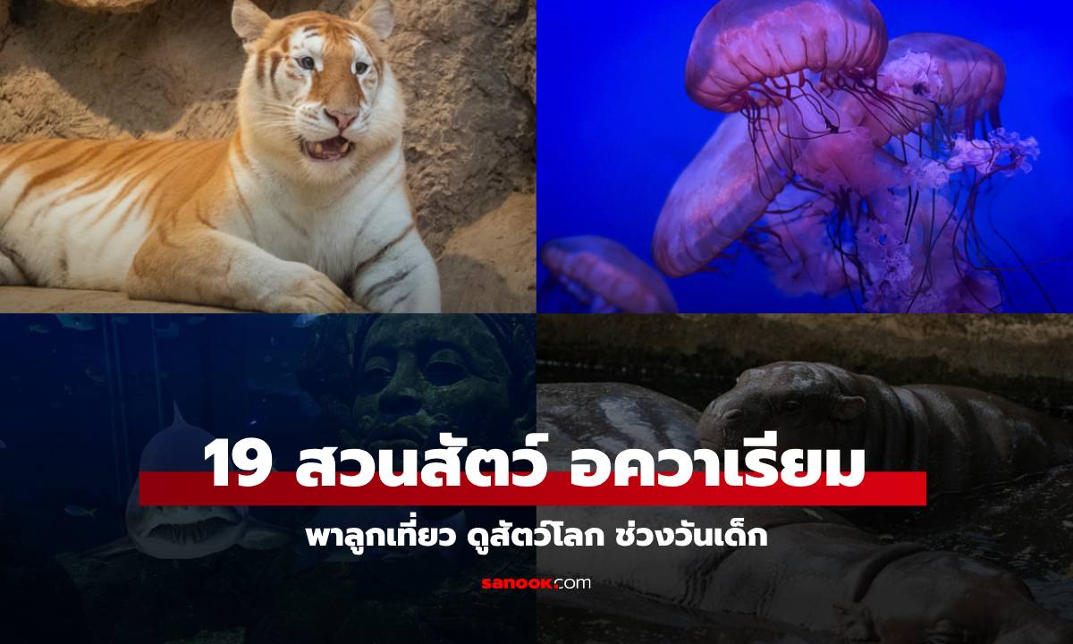 รวม 19 สวนสัตว์ อความเรียม วันเด็ก 2568 พาลูกเที่ยว เปิดประสบการณ์ใหม่