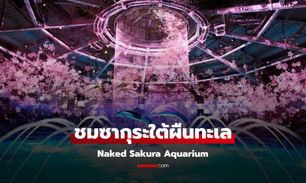 ชมซากุระใต้ผืนทะเล เที่ยวญี่ปุ่น 2025 Naked Sakura Aquarium