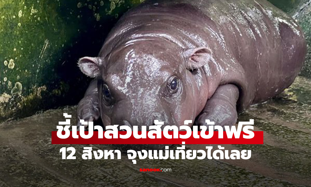 ชี้เป้า สวนสัตว์ไหนที่ให้เข้าฟรีในวันแม่ 2568