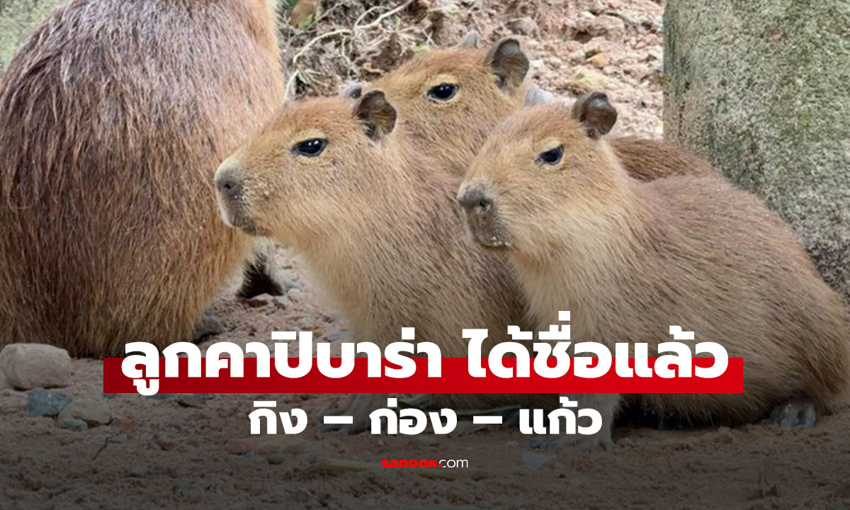 แบบนี้ก็มีด้วย โดน