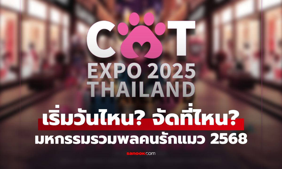 ทาสแมวรวมพล! Cat Expo Thailand 2025 มหกรรมคนรักแมว เริ่มวันไหน?  มีอะไรบ้าง?