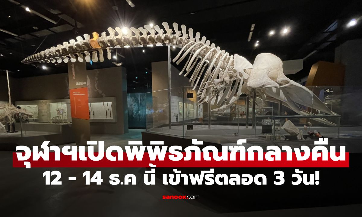 จุฬาฯ เปิดให้เข้าชมพิพิธภัณฑ์ยามค่ำคืน 12-14 ธ.ค.นี้ เข้าฟรีตลอดงาน