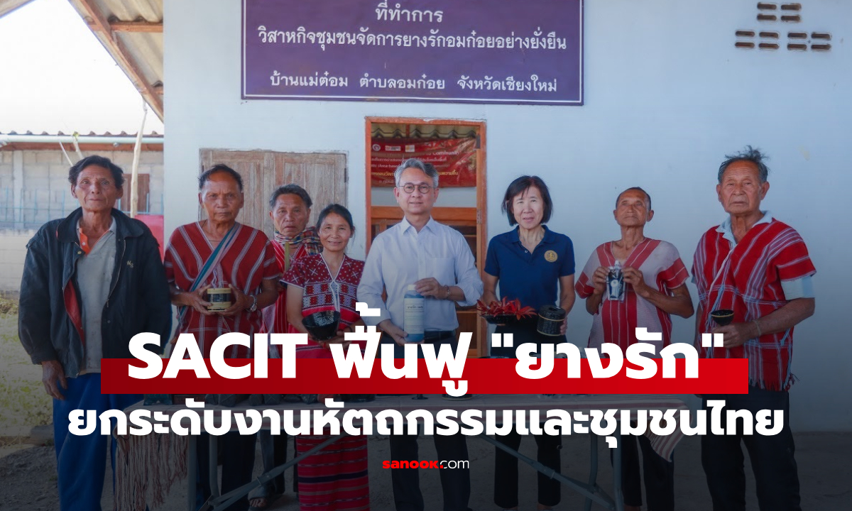SACIT ผนึกกำลังภาคีเครือข่าย ฟื้นฟู “ยางรัก” สร้างความยั่งยืนงานเครื่องรักไทย