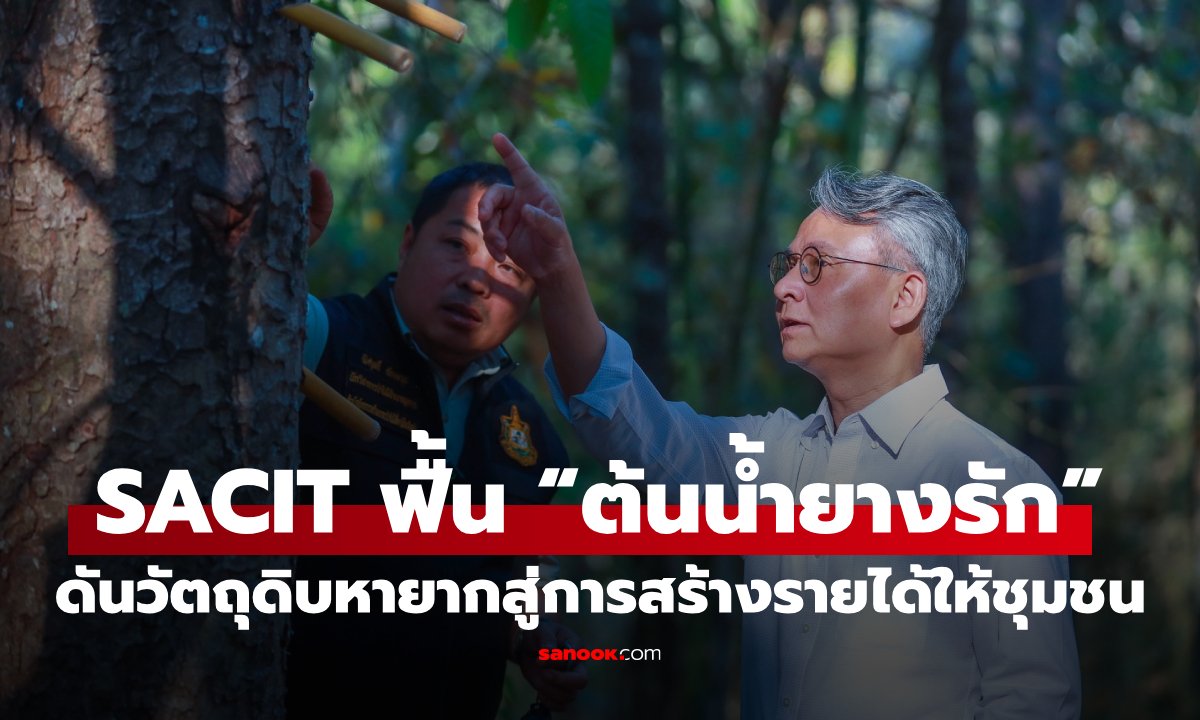 SACIT ฟื้นฟู “ต้นน้ำยางรัก”  ดันวัตถุดิบหายากสู่ หลักทรัพย์ค้ำประกันทางธุรกิจ