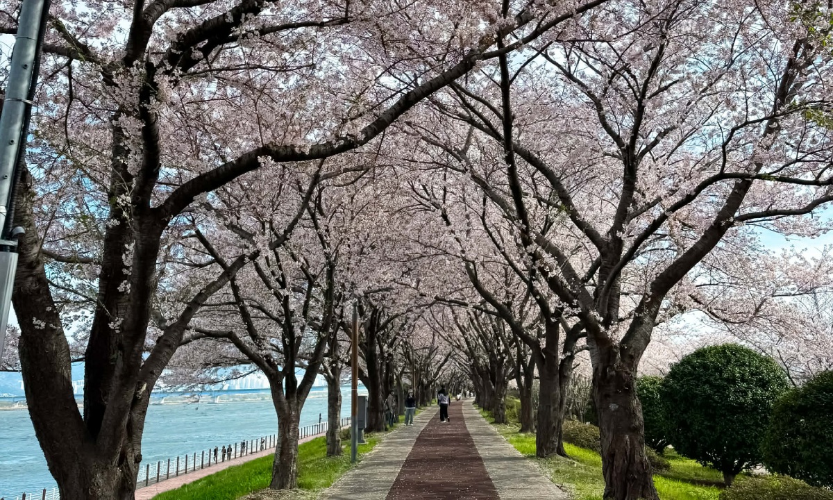 “พ็อตก็อต” ไม่ได้มีดีแค่ถ่ายรูปเทรนด์ “เที่ยวฮีลใจ” ดันเกาหลีขึ้นลิสต์ปลายทางยอดนิยม