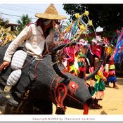 ประเพณีผีขนน้ำ บ้านนาซ่าว