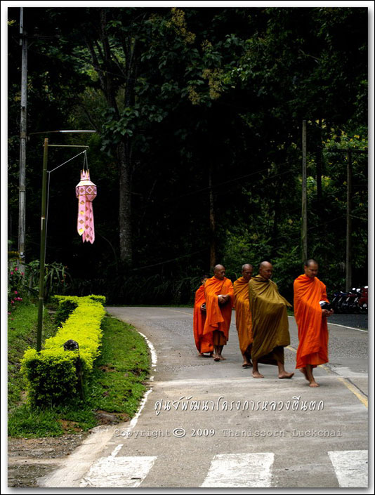 โครงการหลวงตีนตก