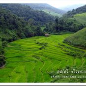 คดโค้ง ข้างขอบเขา