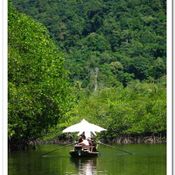 นั่งเรือมาดชมทัศนียภาพป่าชายเลน ที่บ้านสลักคอก