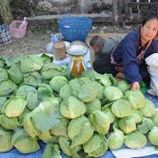 ตลาดริมโขง  จังหวัดบึงกาฬ