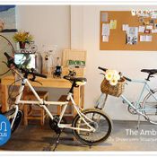 Pedalicious Bike & Bistro เอกมัย 12