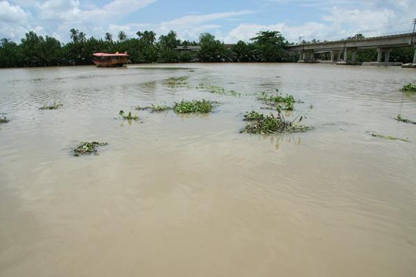 ล่องเรือชมแม่น้ำบางประกง