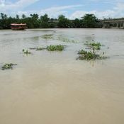 ล่องเรือชมแม่น้ำบางประกง