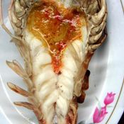 กุ้งแม่น้ำเผา