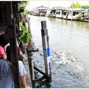 ตลาดคลองบางหลวง