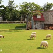 The Scenery Resort & Farm