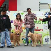 คาราวานพาตูบ พาเหมียวเที่ยวไทย 