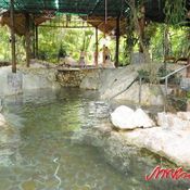 Rock Valley Hot Spring and Fish Spa