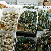 เทศกาลกินหอย ดูนก ตกหมึก ประจำปี 2554