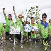 บริษัท อายิโนะโมโต๊ะ (ประเทศไทย) จำกัด