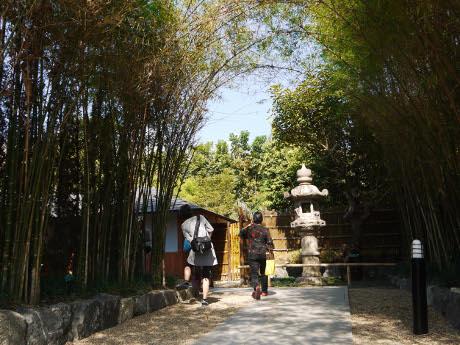 มหกรรมพืชสวนเฉลิมพระเกียรติฯ ราชพฤกษ์ 2554