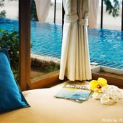 The Bora Bora - Bed And Dream