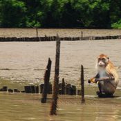 เที่ยวท่องล่องเรือ ชิมเกลือก่อนใคร