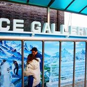  ICE GALLERY 