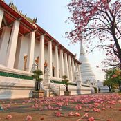 วัดเฉลิมพระเกียรติวรวิหาร