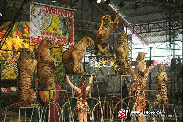 สวนเสือศรีราชา