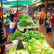 ตลาดนัดชาวเขา (ตลาดปางมะผ้า)  