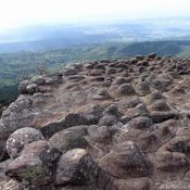 อุทยานแห่งชาติภูหินร่องกล้า